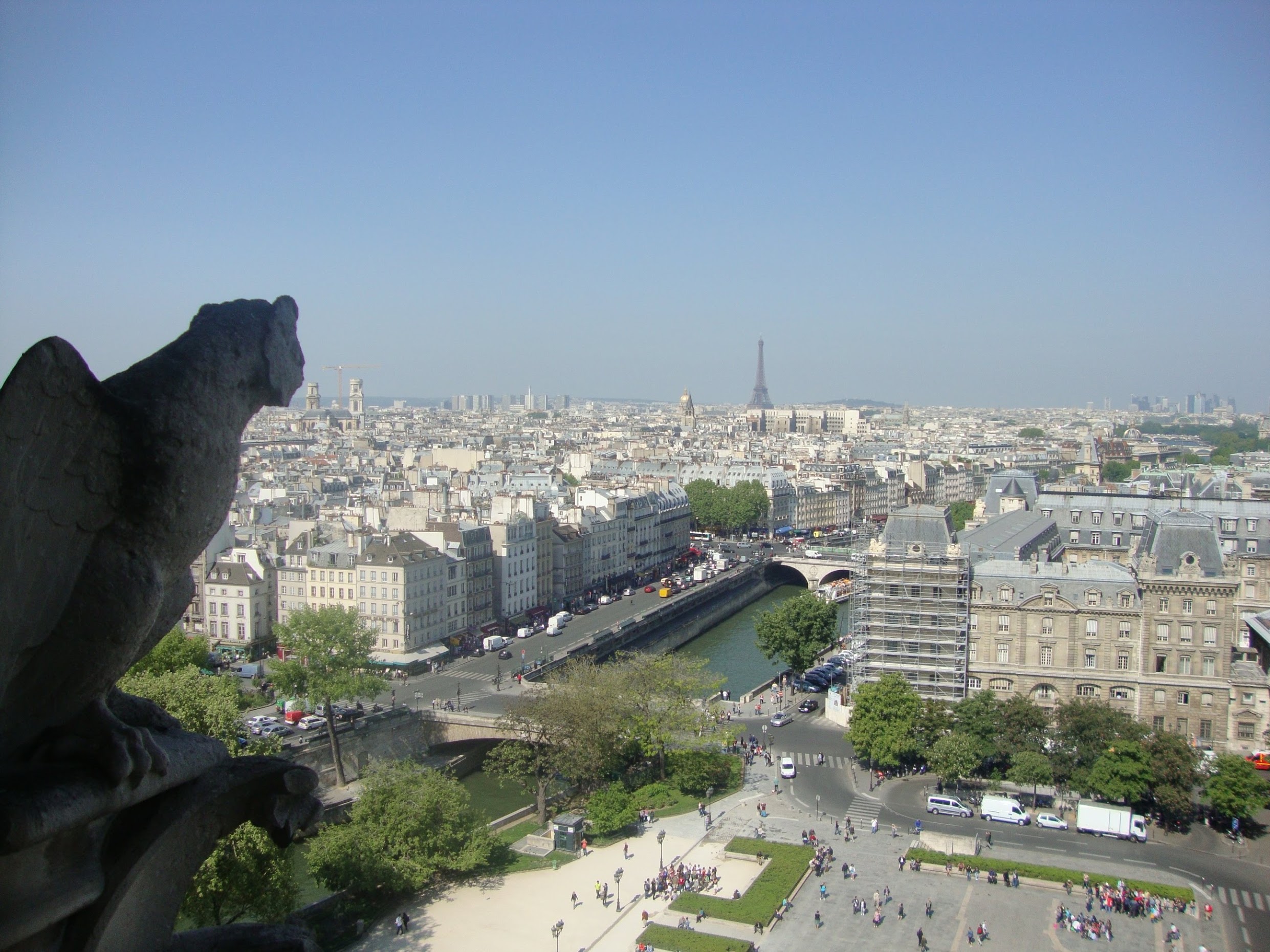 Description of the photo