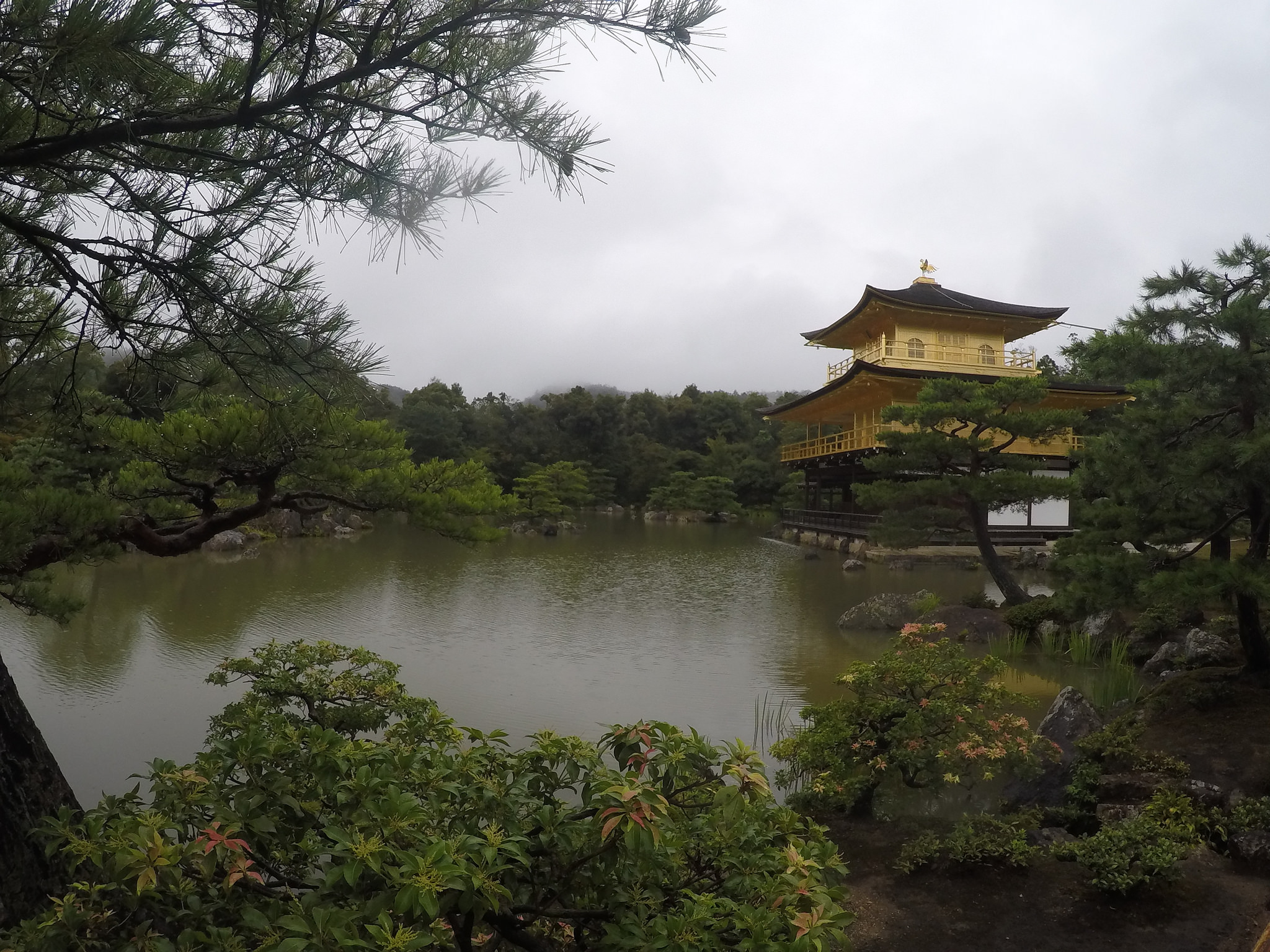 Kinkaku-ji – Last slice of Kyoto