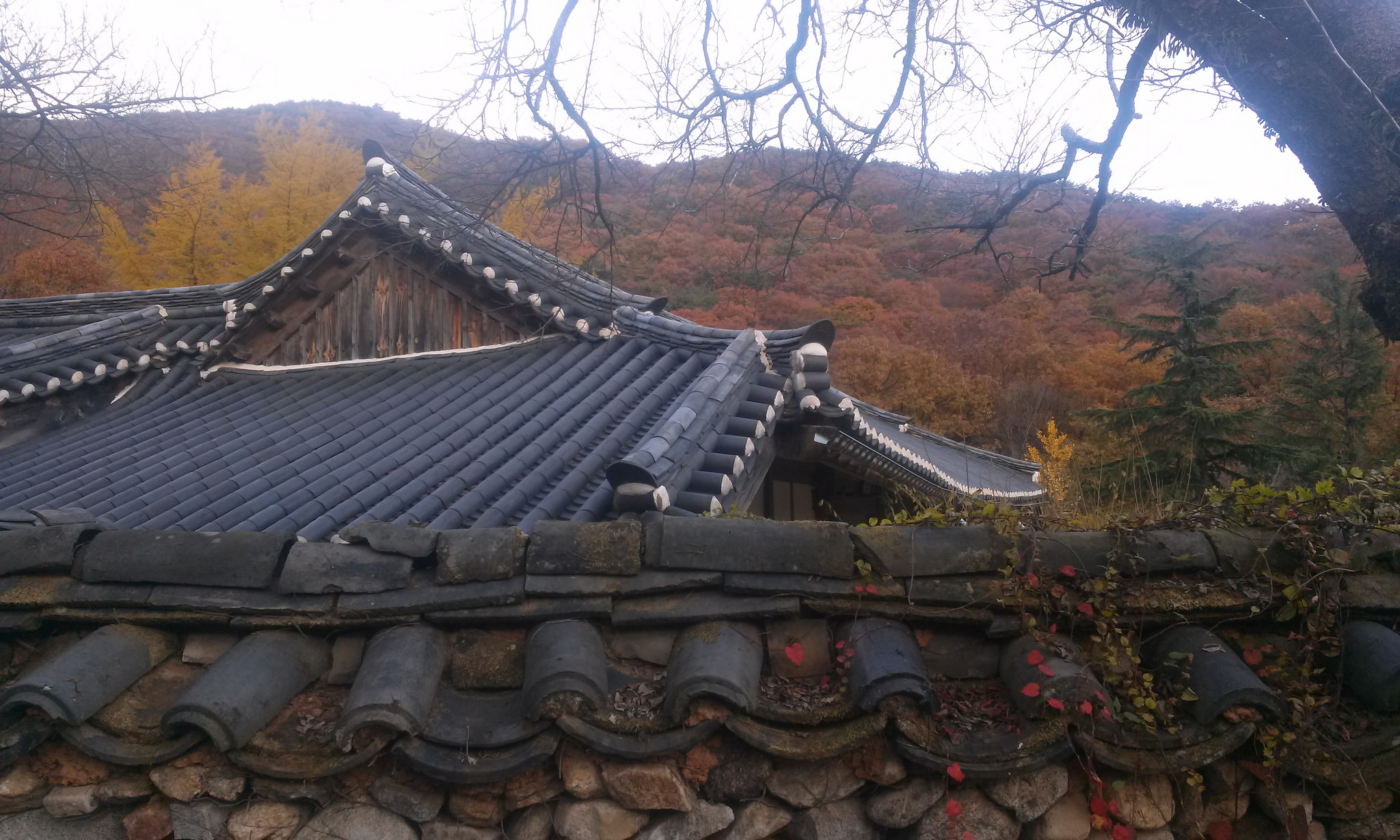 Hiking in my Backyard