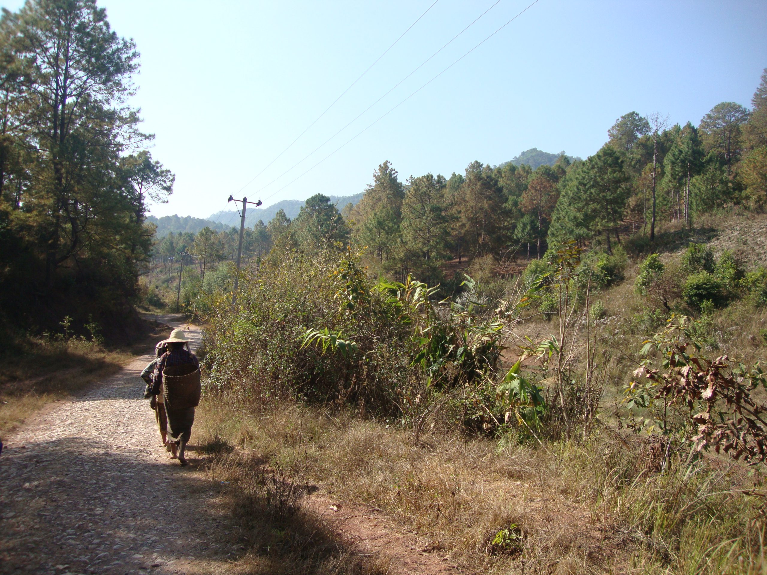 Hiking Myanmar – Day 1, Welcome to the Jungle
