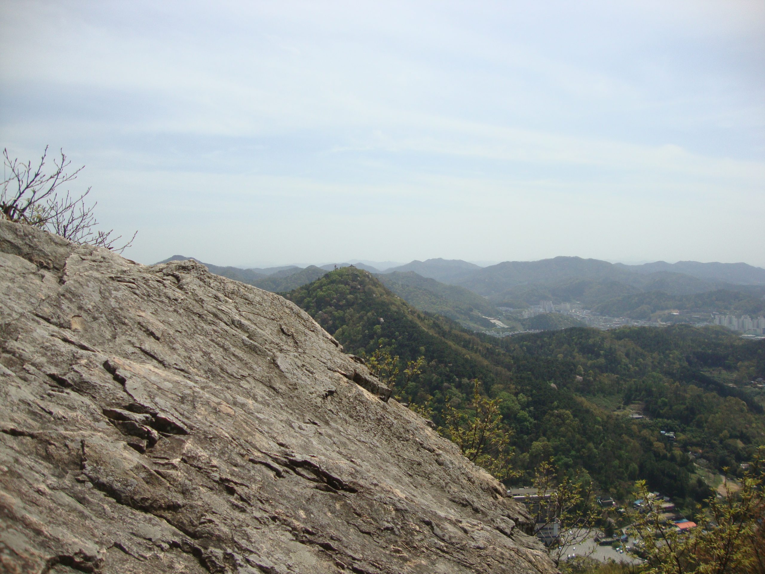 Walking through bamboo